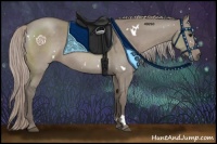 Horse Color:White Spotted Silver Grullo 