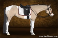 Horse Color:Brown Dun Sabino Tobiano