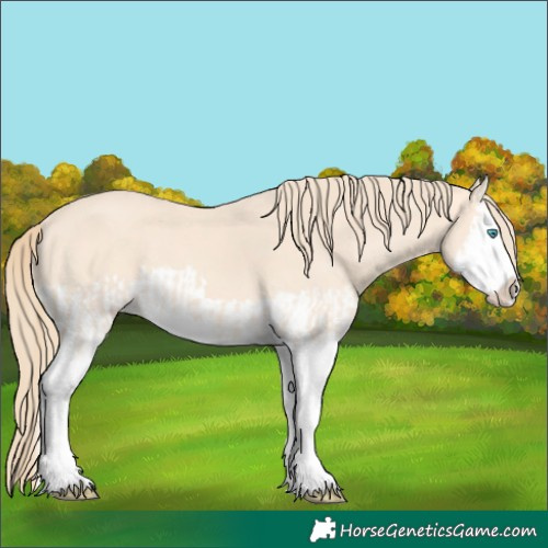 Horse Color:Perlino Splash  and Perlino Splash 