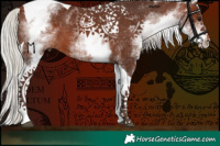 Horse Color:White Spotted Silver Brown Tobiano 