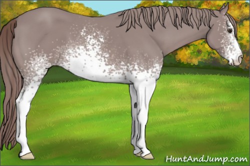 Horse Color:Platinum White Spotted Chestnut 