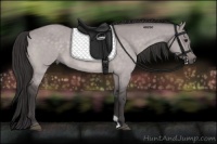 Horse Color:Platinum Buckskin Dun Sabino 