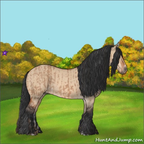Horse Color:Bay Dun Sabino Rabicano and Bay Dun Sabino Rabicano