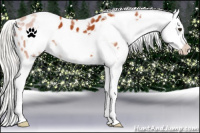 Horse Color:White Spotted Silver Bay Frame Appaloosa