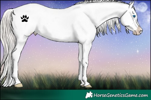 Horse Color:White Spotted Silver Brown Roan Frame Snowcap
