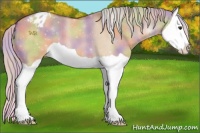 Horse Color:Nacre Silver Bay Dun Splash Appaloosa 