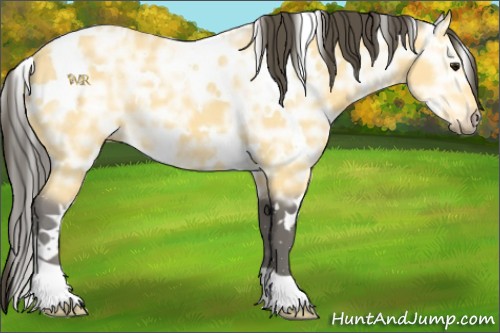 Horse Color:White Spotted Buckskin Ice 