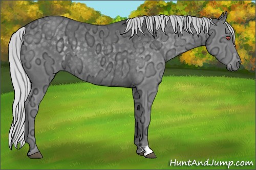 Horse Color:Silver Black Chinchilla Ice 