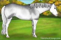 Horse Color:Silver Blue Onyx Chinchilla Splash 