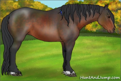 Horse Color:Brown 