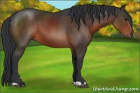 Horse Color:Brown 
