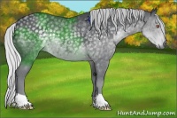 Horse Color:Silver Black Chinchilla Rabicano 