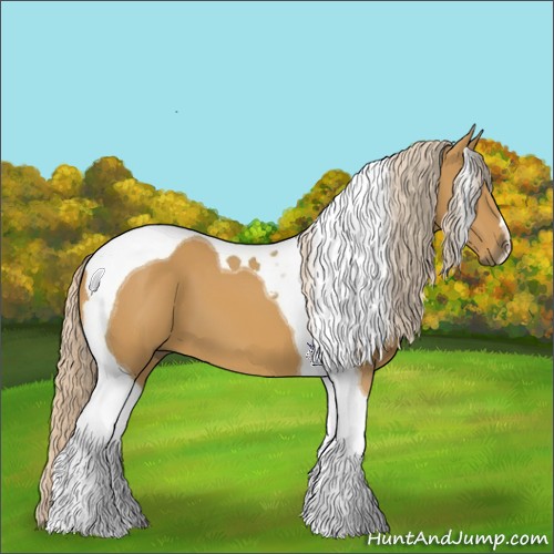 Horse Color:Palomino Tobiano 