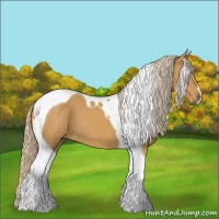 Horse Color:Palomino Tobiano 