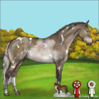 Horse Color:White Spotted Silver Brown Dun Mushroom Brindle 