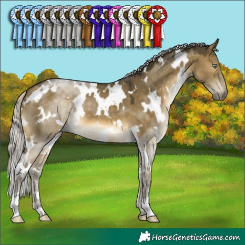 Horse Color:White Spotted Silver Buckskin Dun Mushroom
