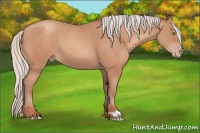 Horse Color:Silver Sable Champagne 