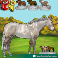 Horse Color:White Spotted Silver Buckskin Dun Mushroom and White Spotted Silver Brown Dun Mushroom Brindle