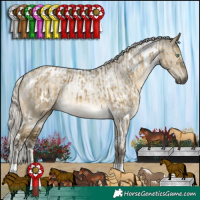 Horse Color:White Spotted Silver Buckskin Dun Mushroom Brindle and White Spotted Silver Buckskin Dun Mushroom