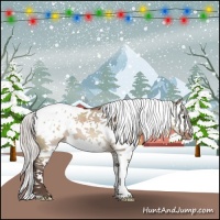 Horse Color:Silver Brown Dun Mushroom Splash Tobiano Appaloosa 