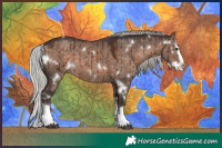 Horse Color:White Spotted Silver Brown Dun Mushroom Splash Brindle