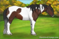 Horse Color:Bay Tobiano