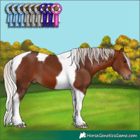 Horse Color:Silver Bay Tobiano