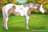 Horse Color:Silver Brown Dun Sabino Splash Tobiano 