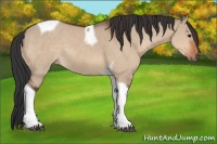 Horse Color:Brown Dun Tobiano 