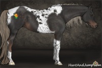 Horse Color:Liver Chestnut Tobiano 