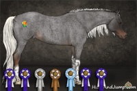 Horse Color:Liver Red Roan Tobiano 