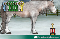 Horse Color:White Spotted Brown Ice Appaloosa Rabicano 