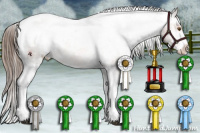 Horse Color:White Spotted Brown Ice Appaloosa Rabicano