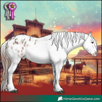 Horse Color:White Spotted Bay Ice Appaloosa 