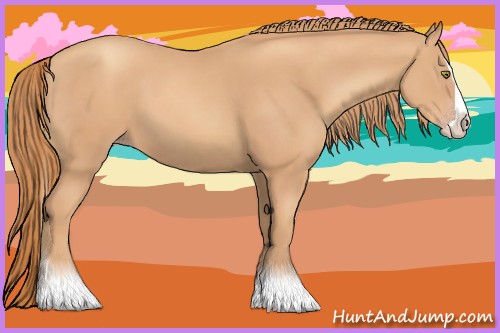 Horse Color:Gold Champagne Splash