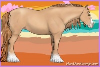 Horse Color:Gold Champagne Splash 