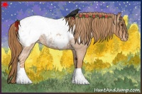 Horse Color:Red Roan Appaloosa 