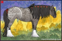 Horse Color:Grullo Varnish