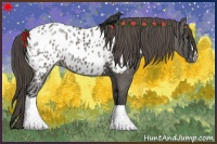 Horse Color:Grullo Near Leopard 