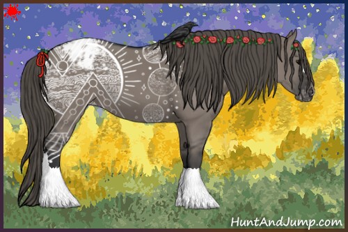 Horse Color:Grullo Appaloosa