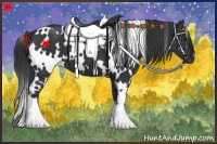 Horse Color:White Spotted Black