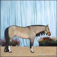 Horse Color:Brown Dun 