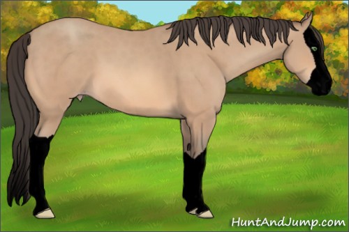 Horse Color:Void Amber Champagne Splash 