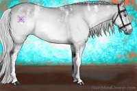 Horse Color:White Spotted Silver Brown Chinchilla Dun 