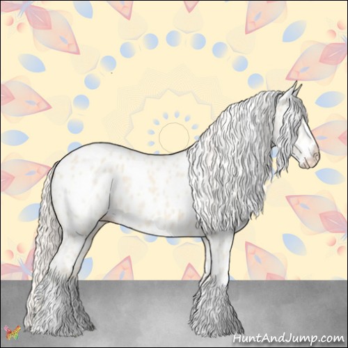 Horse Color:Cremello Appaloosa