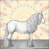 Horse Color:Cremello Appaloosa 