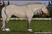 Horse Color:Silver Grullo Roan 