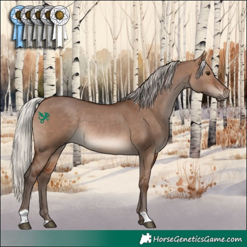 Horse Color:Silver Brown Dun Rabicano