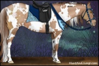 Horse Color:White Spotted Bay Pearl 