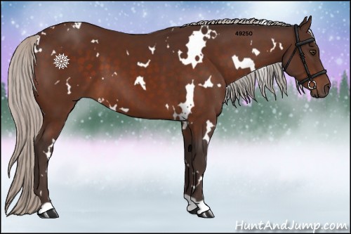 Horse Color:White Spotted Silver Brown
